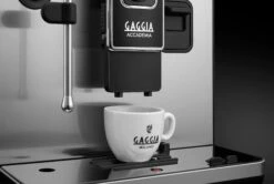Gaggia Accademia - Stainless Steel 26 Gaggia Accademia - Stainless Steel -Gaggia Store AccademiaAcciaio Dettaglio CoffeeSpout 2022