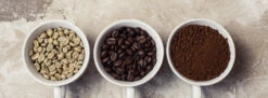 Lavazza Whole Bean Drip Coffee Sampler 5 Lavazza Whole Bean Drip Coffee Sampler -Gaggia Store CoffeePackagesBanner 1900x700 p 53a76dc3 c112 4cbe 9249 d9d937f87af6