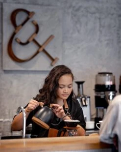 Brewista Artisan Electric Gooseneck Kettle - Matte Black 9 Brewista Artisan Electric Gooseneck Kettle - Matte Black -Gaggia Store IMG 3942 newlogo